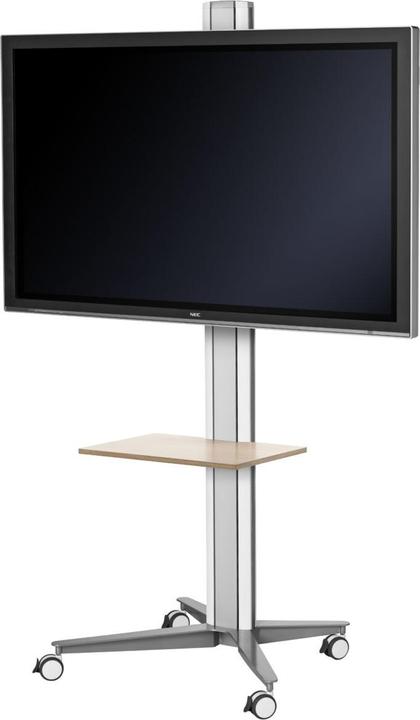 SMS Flatscreen X FH M1455 (Various, 60", 50 kg)