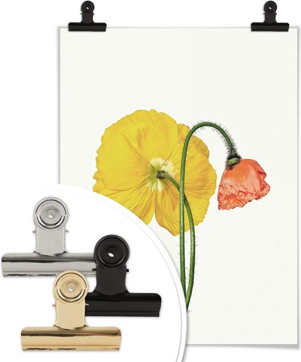 Actual product image Trenddeko The red and yellow flower (30 x 40 cm)