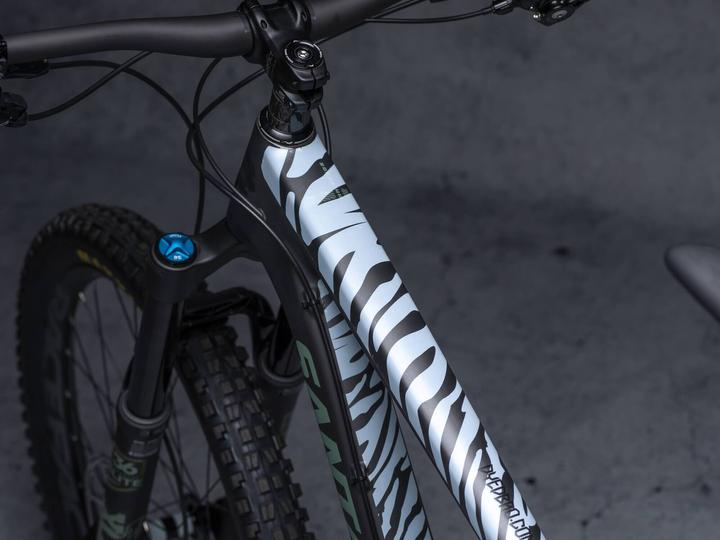 Actual product image Dyedbro zebra