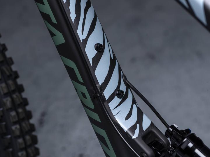 Actual product image Dyedbro zebra