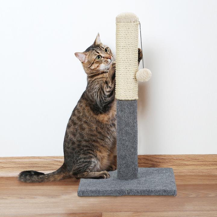 Immagine prodotto Relaxdays Colonna tiragraffi per gatti