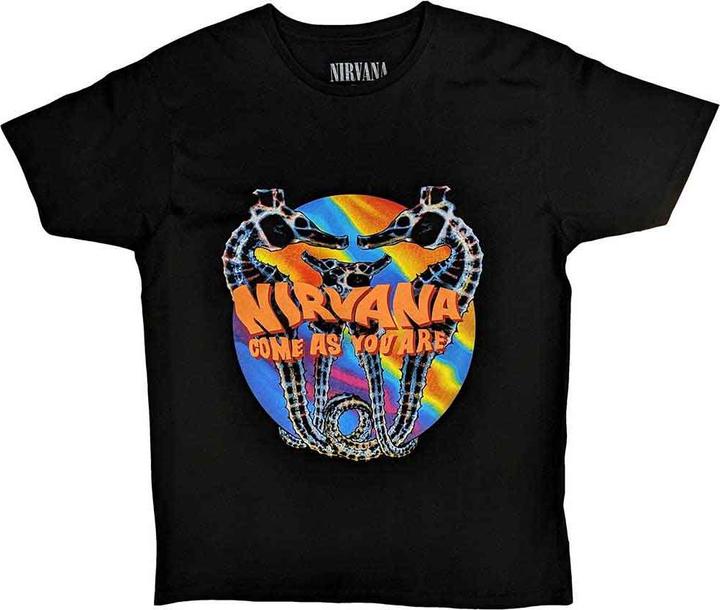 Nirvana Come As You Are (M)