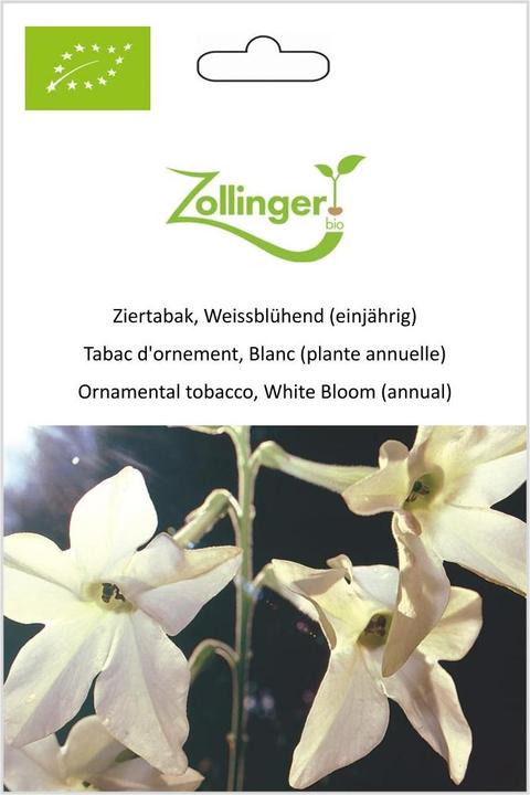 Produktbild Zollinger Bio Ziertabak, Weissblühend (einjährig) (Pflanzensamen)