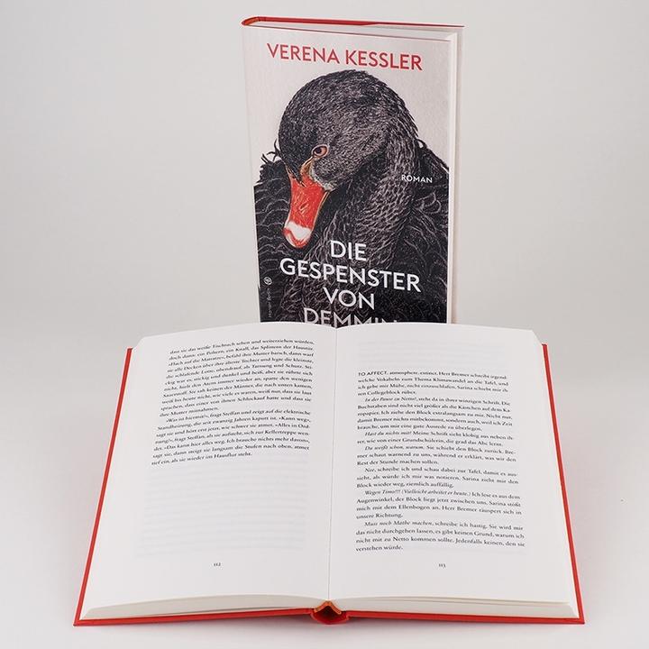 Produktbild Die Gespenster von Demmin (Deutsch, Verena Kessler, 2020)