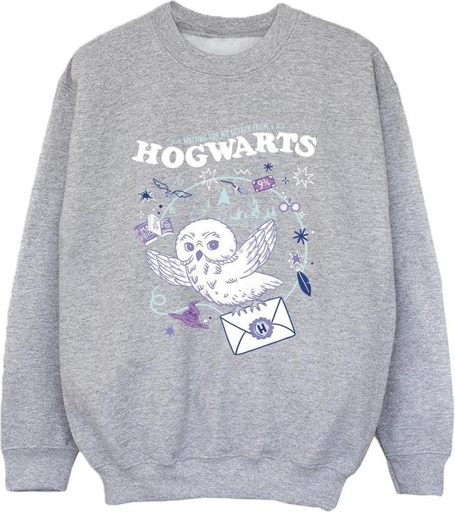 Image du produit - Sweat OWL LETTER FROM HOGWARTS - Garçon (152, 158)