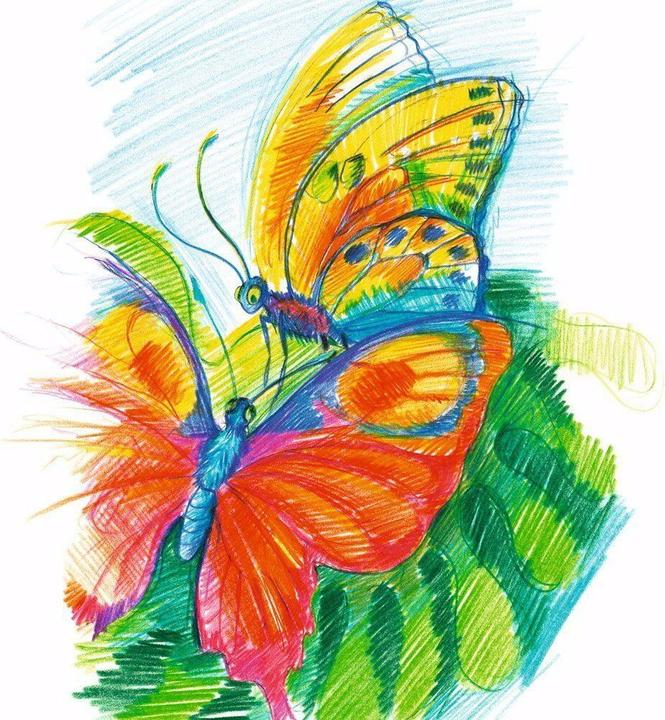 Actual product image Staedtler Noris Club (Multicoloured, 24 x)