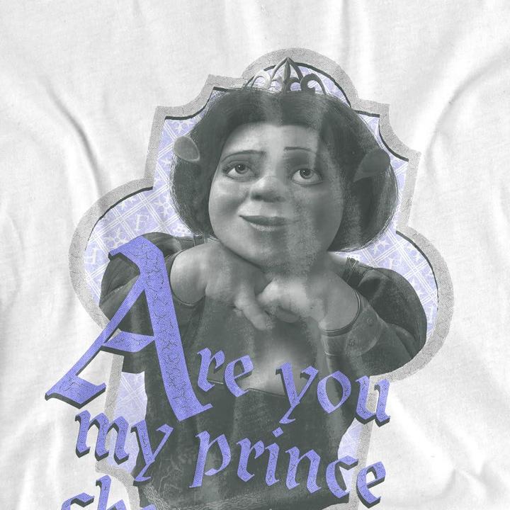 Immagine prodotto Shrek Are You Prince Charming Maglietta Uomo (4XL)