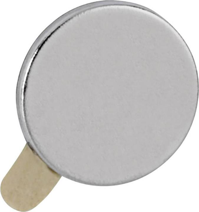 Actual product image Maul Neodymium holding magnet (20 x)