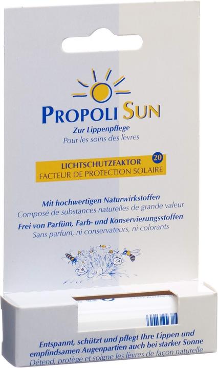 Produktbild Remmele Balsam Stift SF20 (Pflegestift)