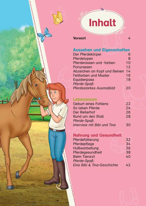 Actual product image Bibi & Tina: Das grosse Pferde-Quizbuch mit Bibi und Tina (German, Klett Learning Training, 2021)