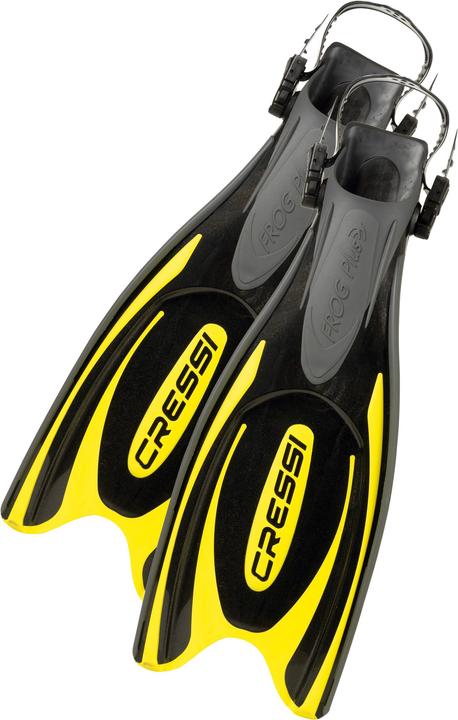 Black, Yellow