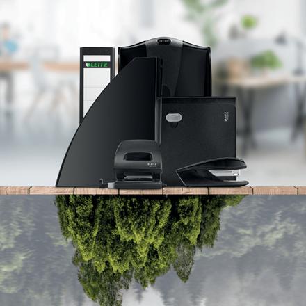 Immagine prodotto Leitz Cestino per rifiuti (15 l)