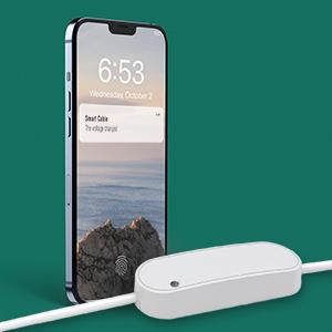 Actual product image Frient Smart Cable 2 (Zigbee) (Switch actuator)