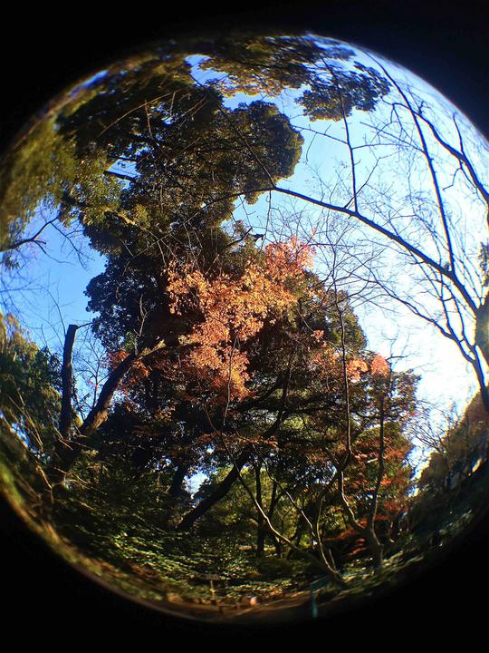 Actual product image Kenko Real Pro 180° Fisheye