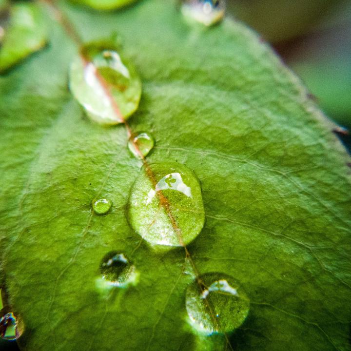 Produktbild Kenko Real Pro 0.65x Wide/Macro