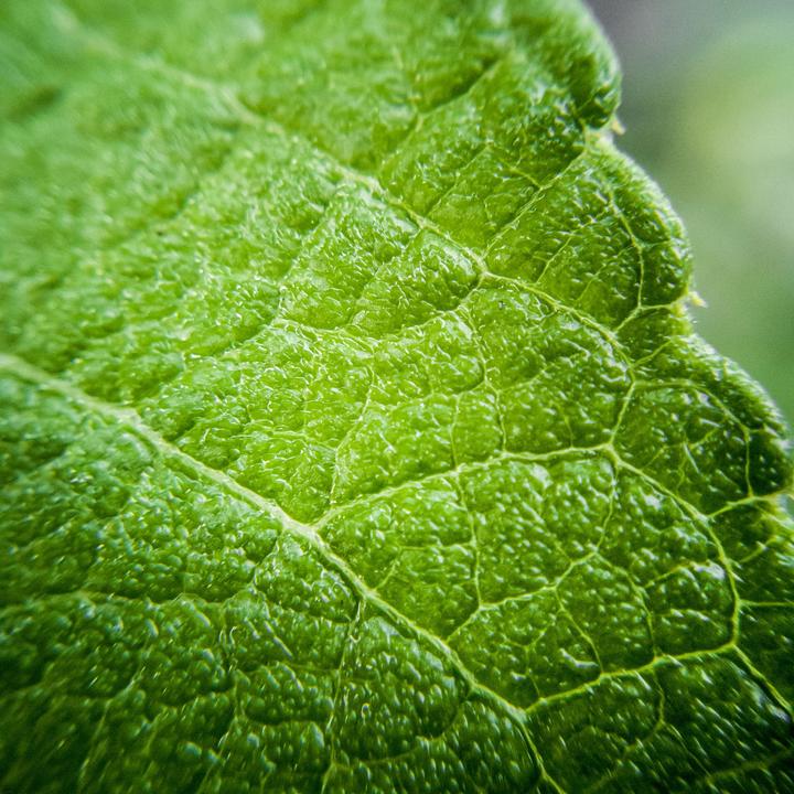 Produktbild Kenko Real Pro 0.65x Wide/Macro