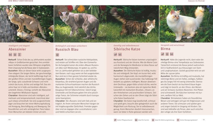 Image du produit Katzen (Allemand, Brigitte Eilert-Overbeck, 2016)