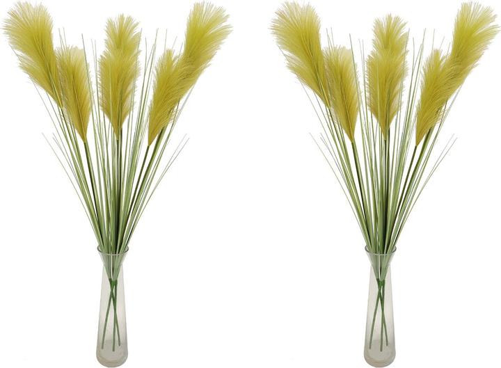 Image du produit Casativo Herbe de la pampa artificielle