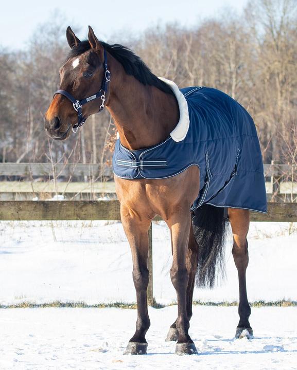 Immagine prodotto Qhp coperta da stalla per cavalli con spalle tagliate 200 g (135 cm)