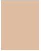 Actual product image MAC Cosmetics Pro Longwear Concealer (DN20)