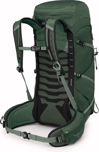 Green Canopy, Pine leaf green