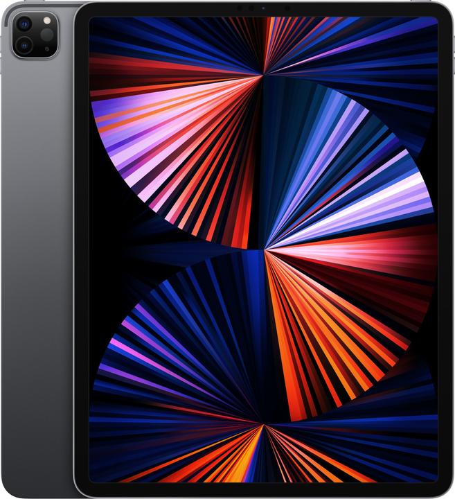 Apple iPad Pro 2021 (5. Gen) (nur WLAN, 12.90", 1000 GB, Space Grey)