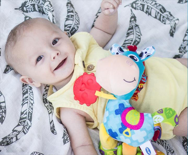 Image du produit Playgro Cheval en peluche