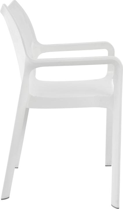 Immagine prodotto CLP Sedia DIVA