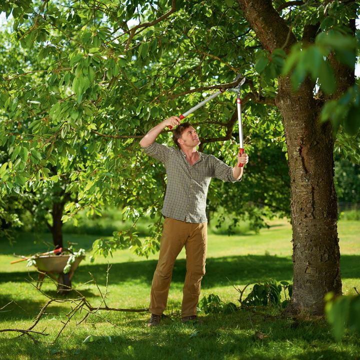 Actual product image Wolf-Garten Branch shears