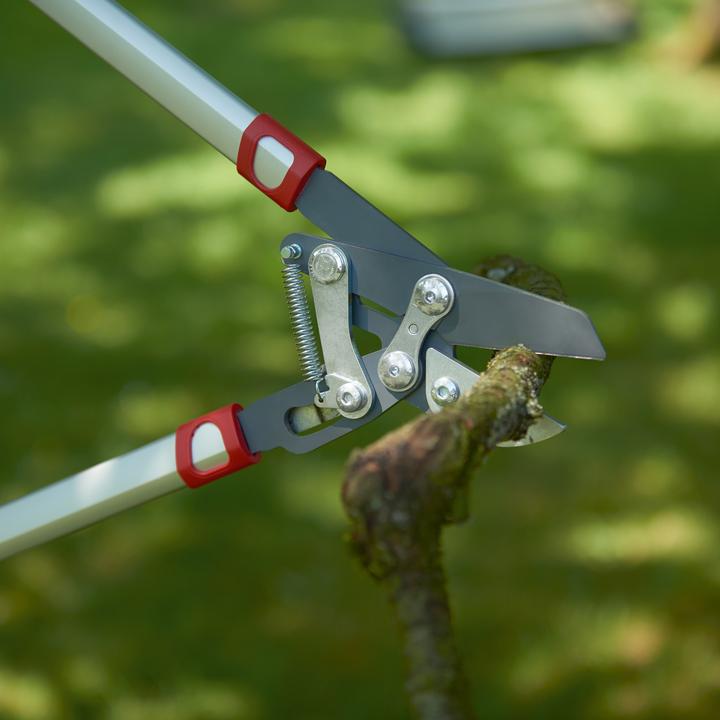 Actual product image Wolf-Garten Branch shears