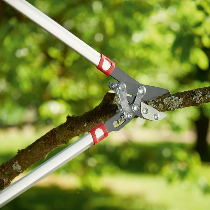 Actual product image Wolf-Garten Branch shears