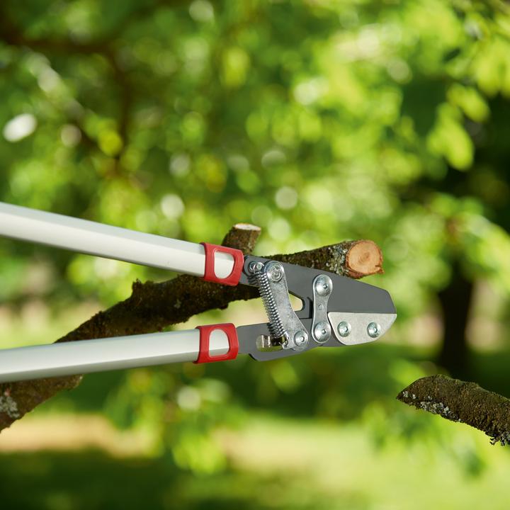 Actual product image Wolf-Garten Branch shears