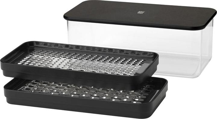Actual product image Rig-Tig by Stelton RIGTIG GRATEIT grater with container