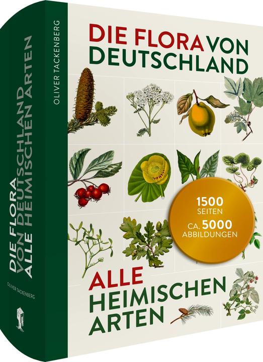 Immagine prodotto Die Flora von Deutschland. Alle heimischen Arten. (Tedesco, Oliver Tackenberg, 2022)