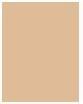 Produktbild Rimmel London Kind & Free Blur It Out Mattifying Skin Tint (150 Rose Vanilla)