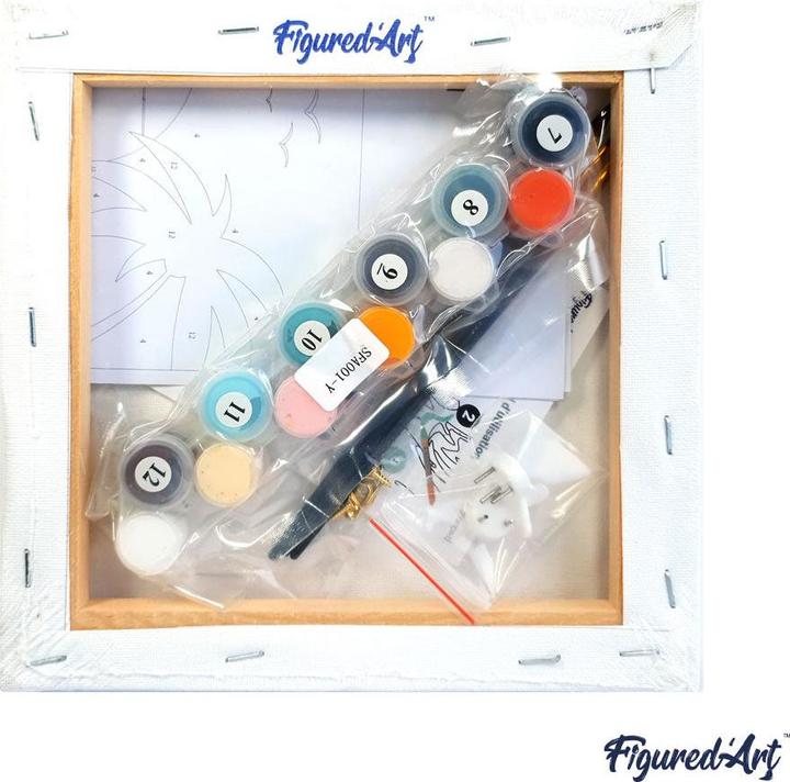 Immagine prodotto Figured'Art Mini Kit da Dipingere con i Numeri con Cornice - Fra le sue Piante