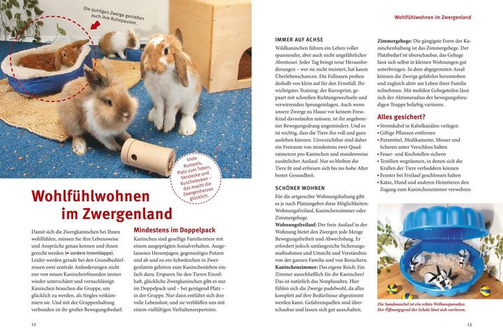 Immagine prodotto Spiel- & Wohnideen Zwergkaninchen (Tedesco, Esther Schmidt, 2011)