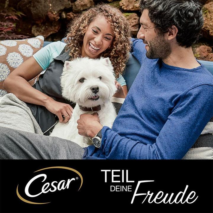 Produktbild Cesar Landküche (Adult, 8 Stk., 150 g)
