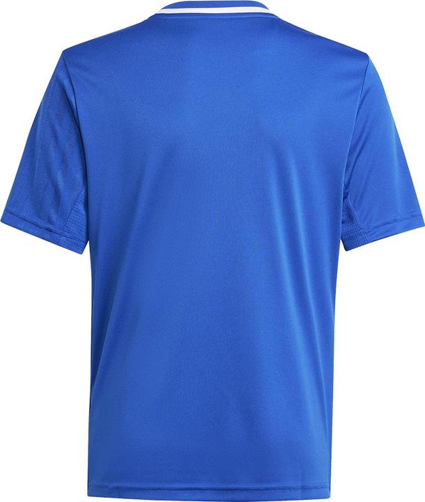 Image du produit adidas Maillot Campeon 25 Kids (152)