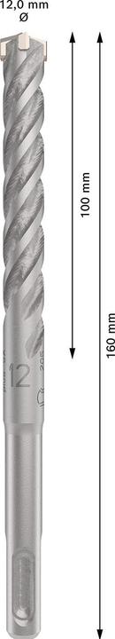 Immagine prodotto Bosch Zubehör Punta per martello PRO SDS plus-5X, 12 x 100 x 160 mm (12 millimetri)