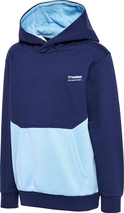 Produktbild hummel hmlEDDY HOODIE (164)