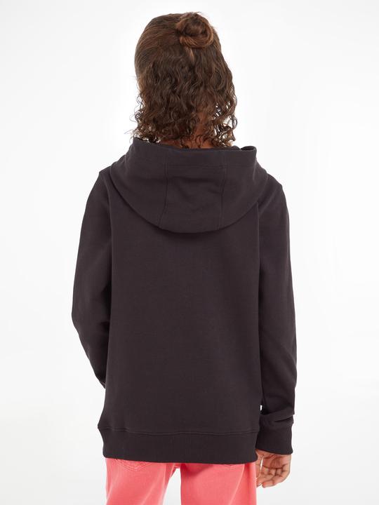 Actual product image Tommy Hilfiger Essential Hoodie (3)