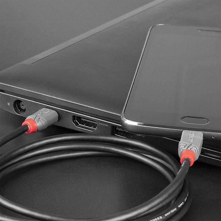 Produktbild Lindy Anthra Line (0.50 m, USB 2.0)