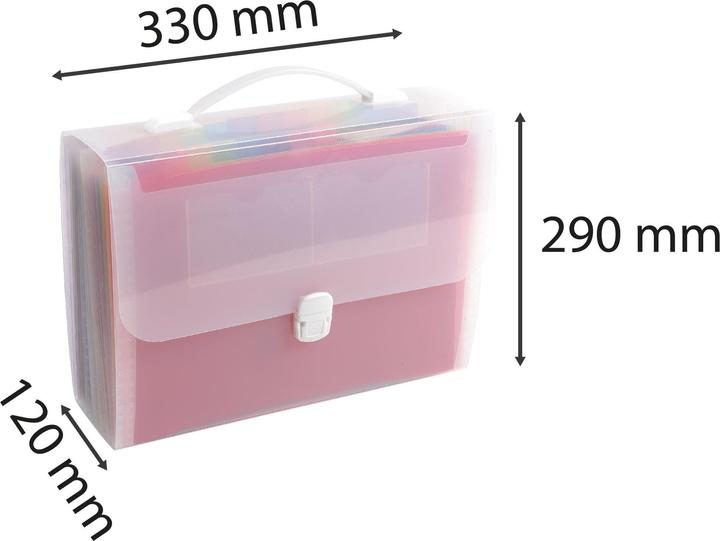 Immagine prodotto Exacompta Cartella a ventaglio in cristallo con manico (A4, 1 x)
