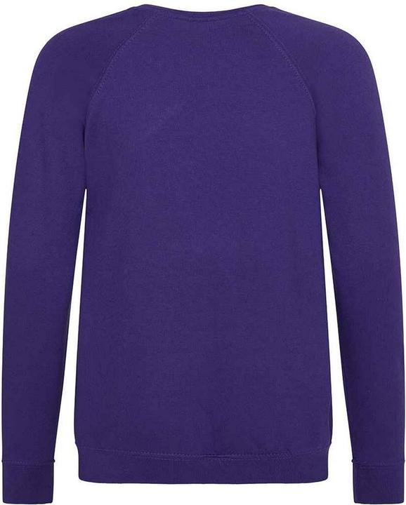 Actual product image Awdis Childrens/Kids Academy Raglan Sweatshirt (158)