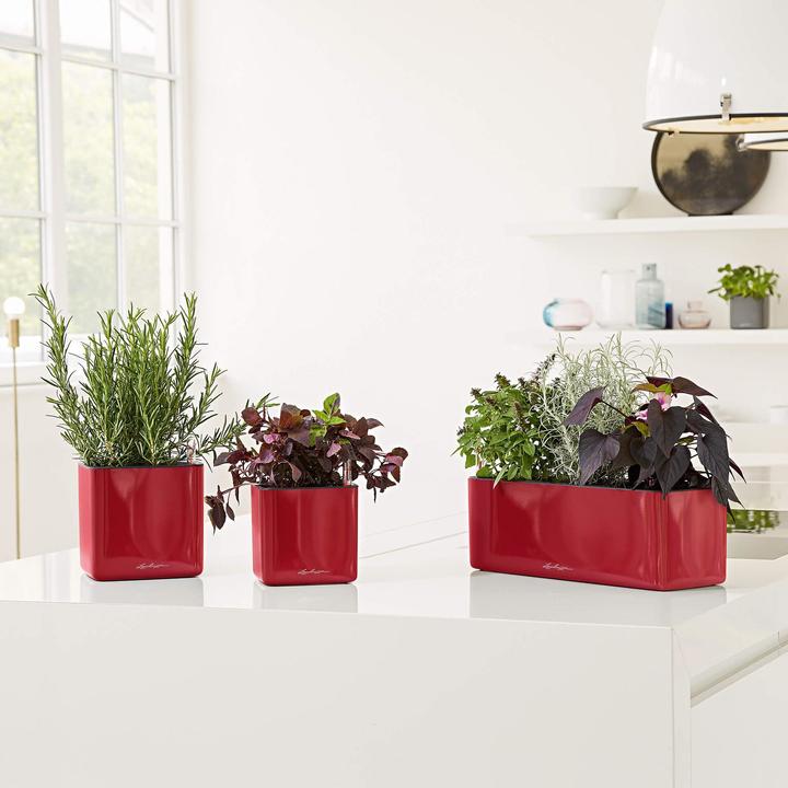 Produktbild Lechuza Cube Glossy 16 (16 cm)