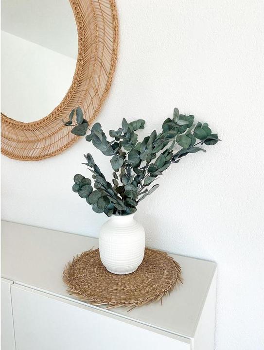 Actual product image Soli Collection Dried flowers eucalyptus 40-55 cm (Dried flowers)