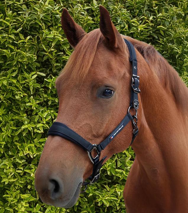 Immagine prodotto Premier Equine Corda
