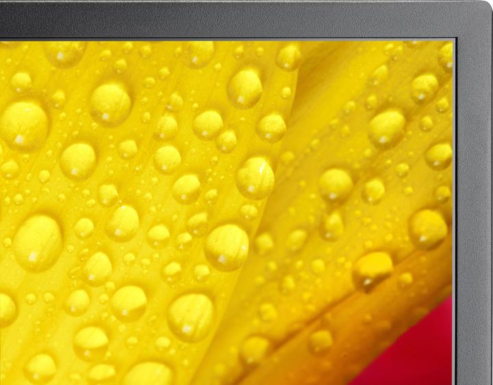 Actual product image Sharp M501-2 50IN UHD 500CD/SQM (3840 x 2160 Pixels, 50")