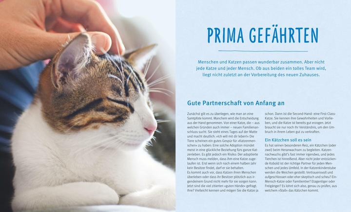 Image du produit Katzen (Allemand, Brigitte Eilert-Overbeck, 2016)